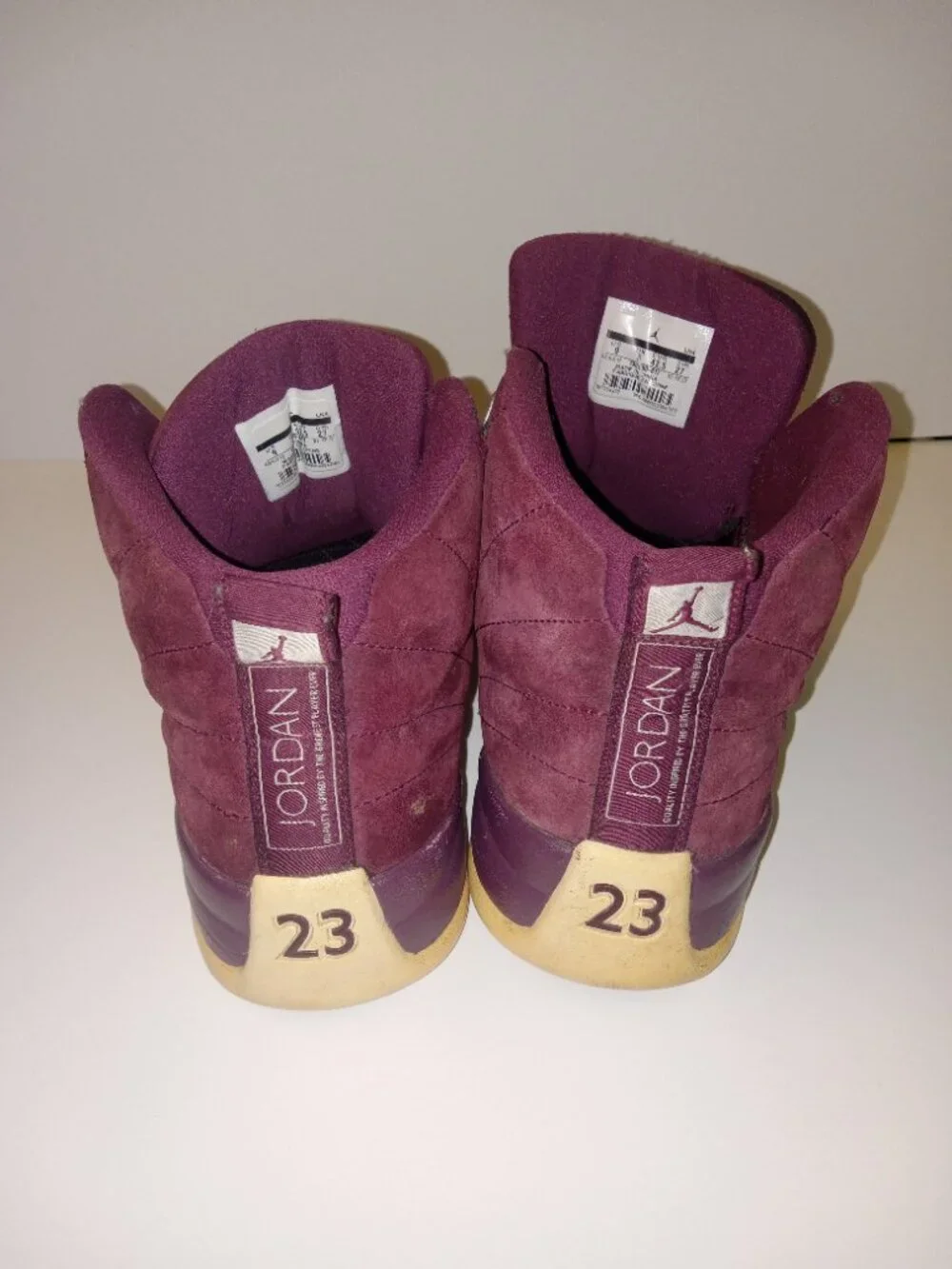 Jordan air 12
